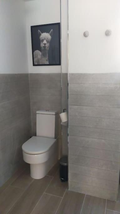 סנטנדר Apartamento Laurana מראה חיצוני תמונה